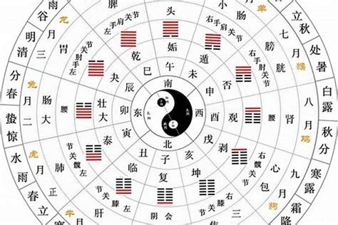 天干屬性|「四柱八字」十天干的五行属性和阴阳属性